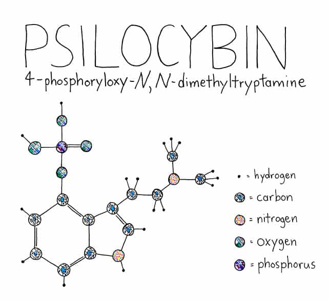 psilocibina molécula cadeia cogumelo magico